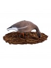 Гусь гуменник Softplast 3D (GS-3D), 10 штук